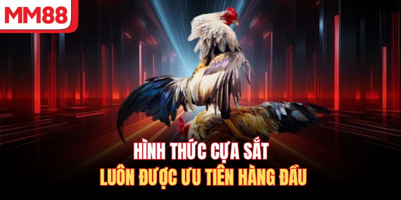 Hình thức cựa sắt luôn được ưu tiên hàng đầu