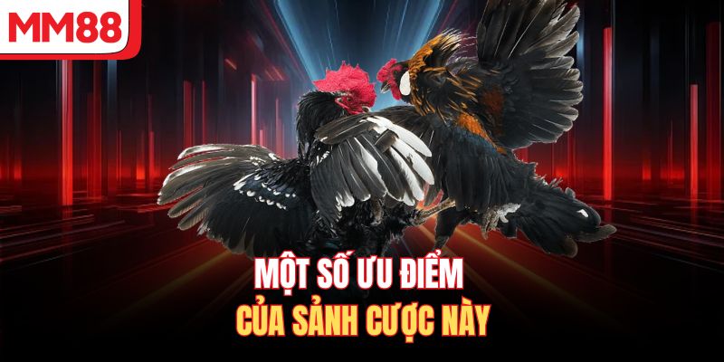Một số ưu điểm của sảnh cược này